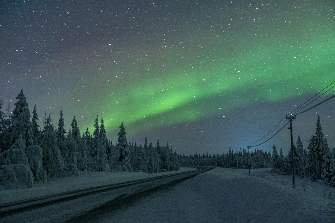 A band of green aurora above a snowy road lined with snow-covered spruce trees and a power line