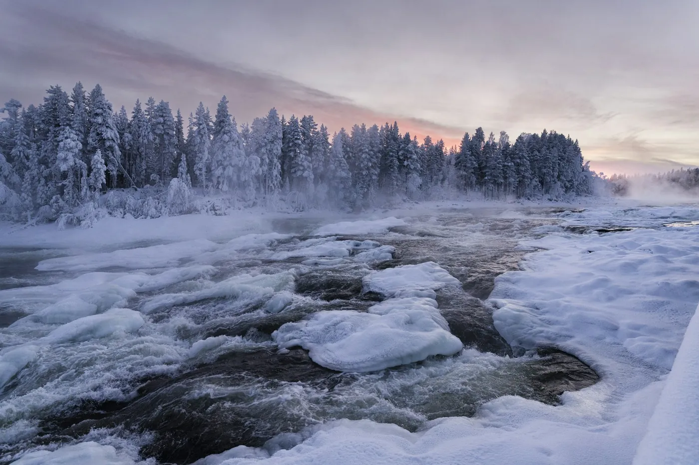 A wide river with rapids and ice floes between snow-covered banks, frosted spruce forest behind and a pink evening sky
