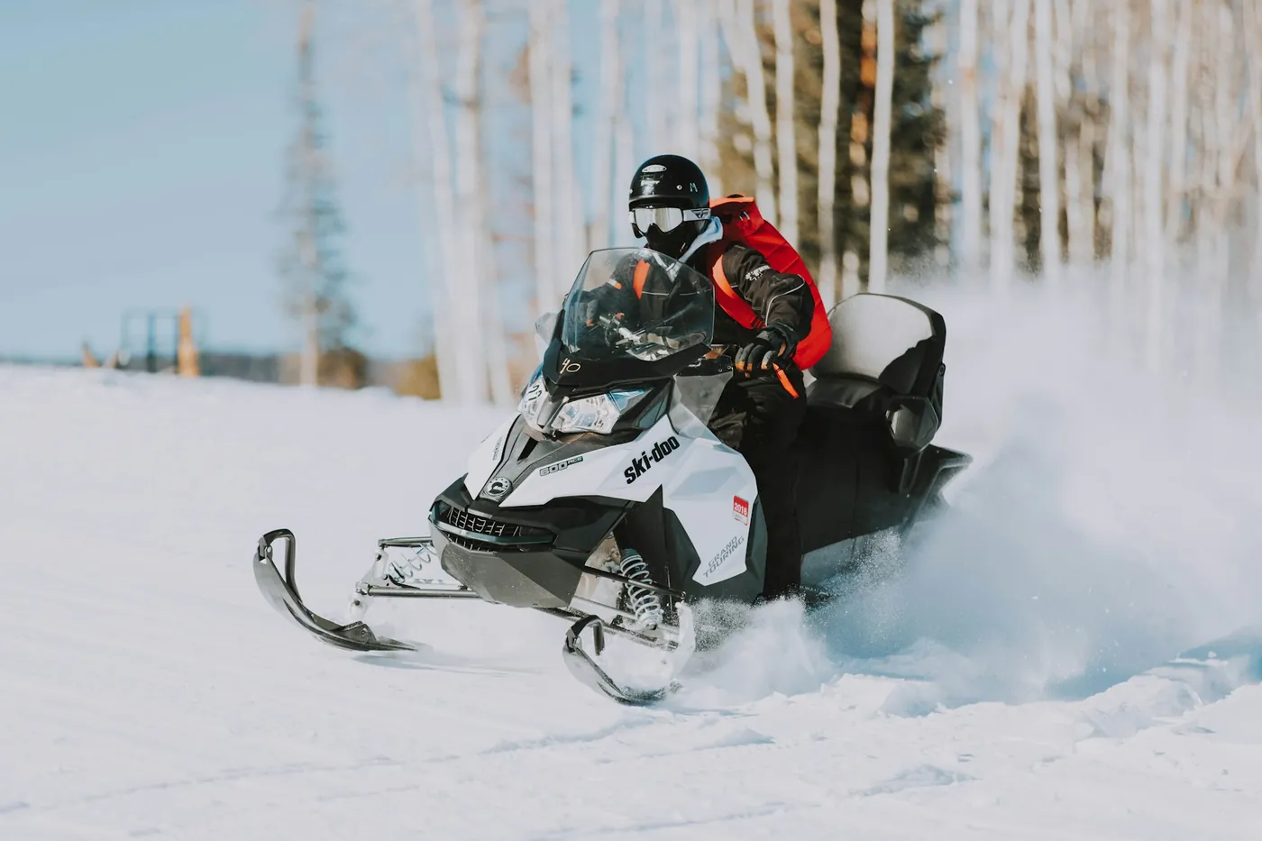 A rider in a black helmet and red jacket on a white snowmobile, throwing up powder snow in front of birch trees