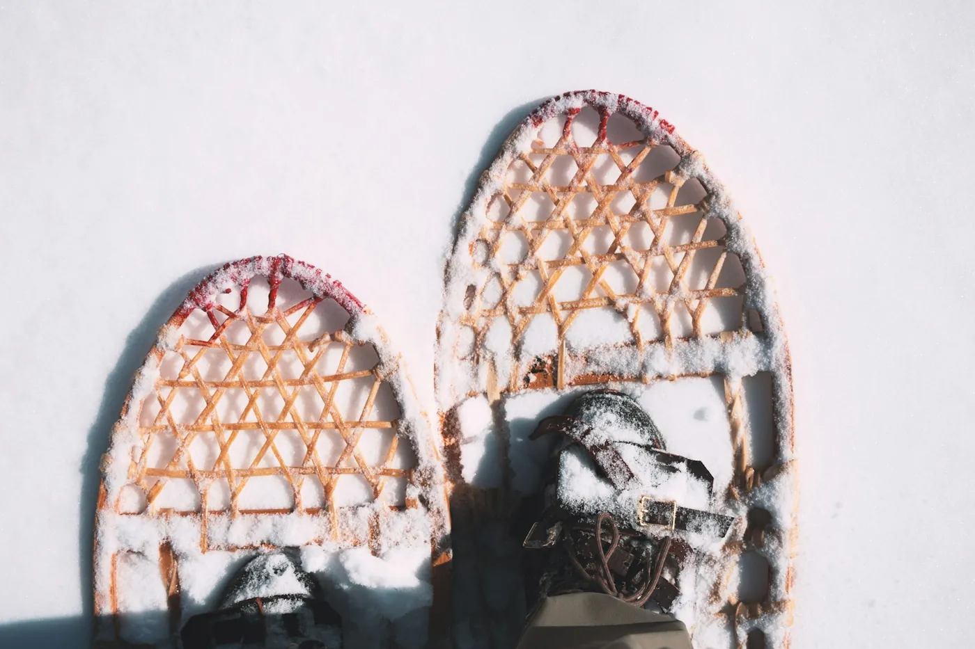 Two traditional snowshoes with wooden frames and woven lacing, seen from above on fresh snow, with boots strapped into them