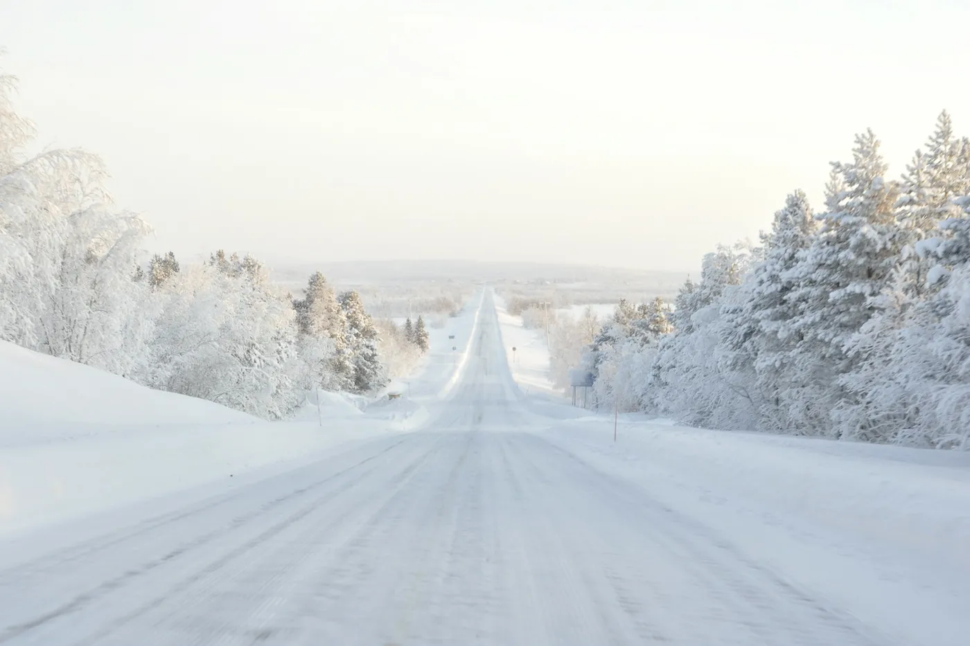 Una carretera recta cubierta de nieve entre árboles escarchados que se pierde en un horizonte llano bajo un cielo pálido